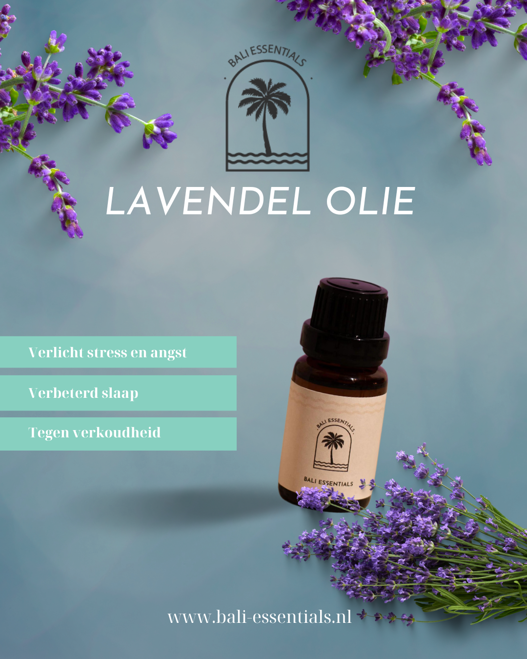 Lavendel Olie